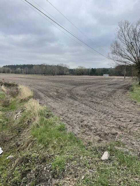 Sprzedam działkę 1,16h Przysieczyn