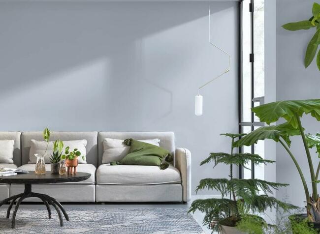 Gładzie, malowanie, remonty