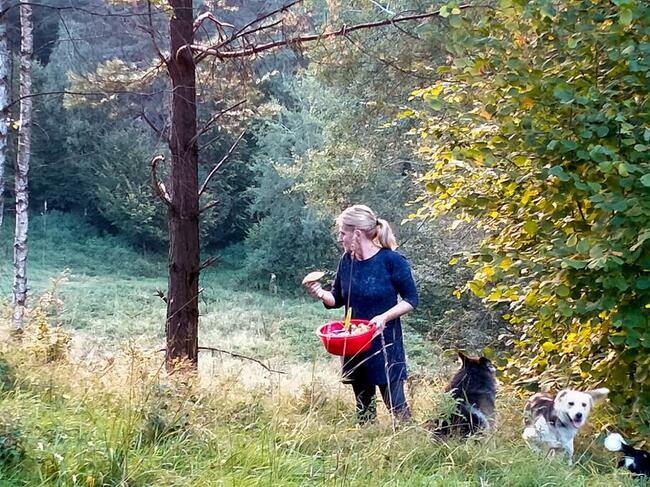 domki całoroczne i pokoje