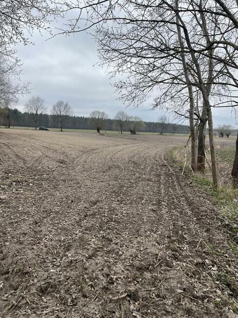 Sprzedam działkę 1,16h Przysieczyn