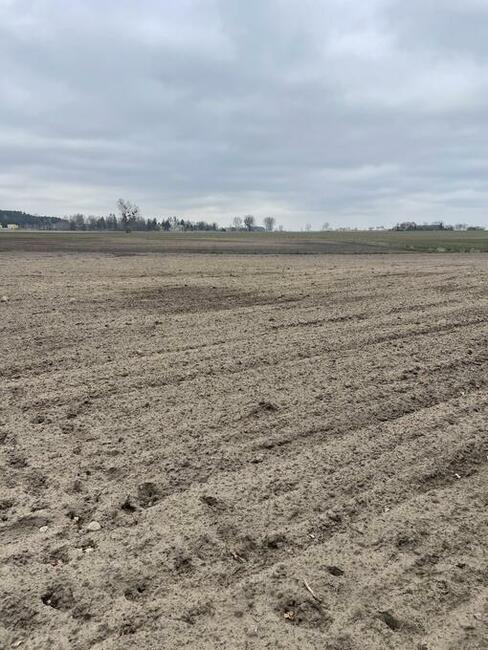 Sprzedam działkę 1,16h Przysieczyn