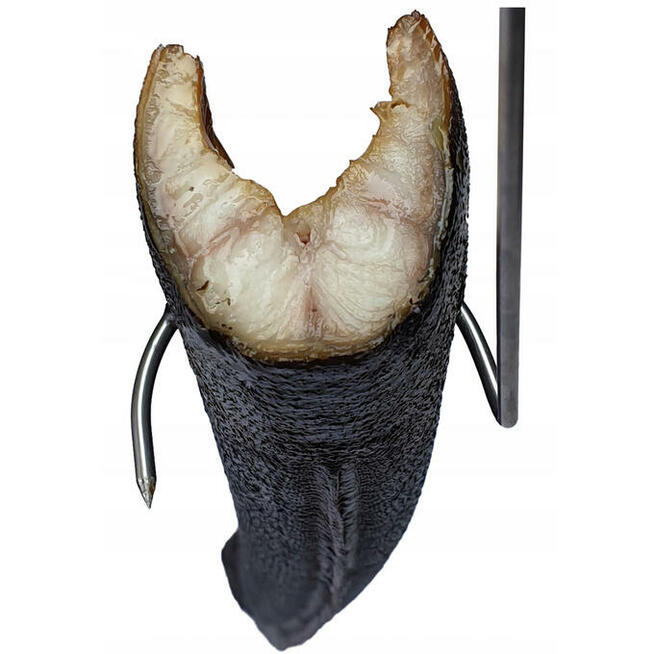 Hak wędzarniczy do ryb wkręcany 5szt