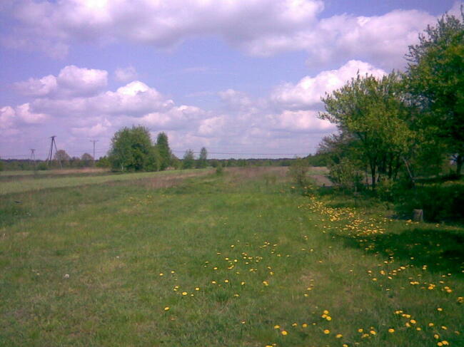 Dużą działkę z domem sprzedam bezpośrednio tel.518 471 188