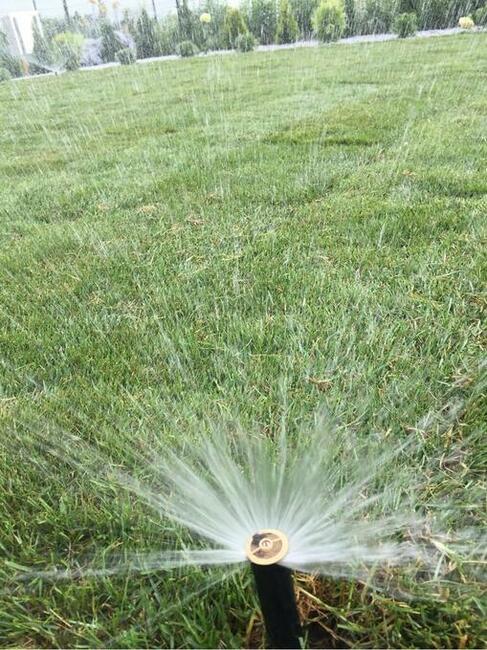 Nawadnianie ogrodów, systemy nawadniające, usługi ogrodnicze.