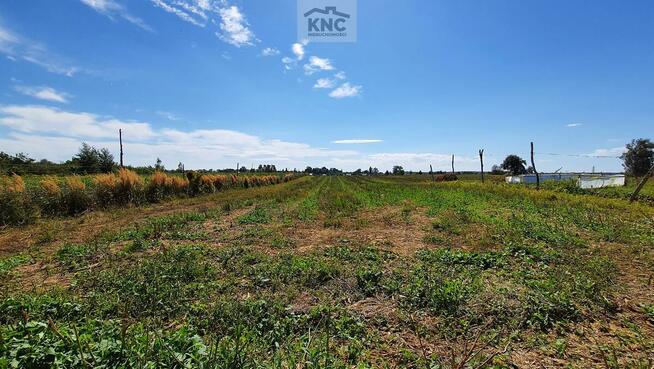 Działka rolno-budowlana Sadurki gm. Nałęczów