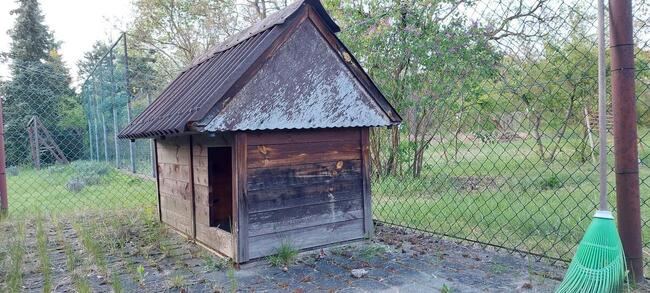 Buda dwukomorowa dla psa :)