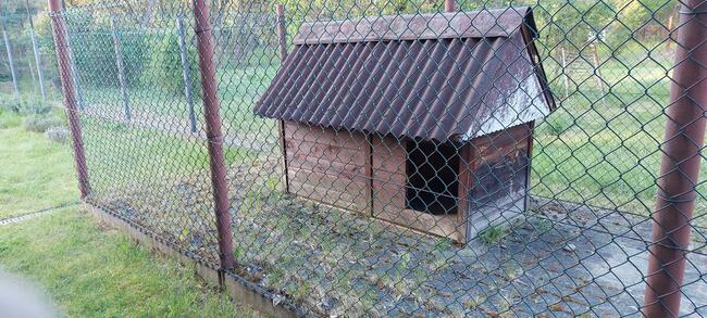 Buda dwukomorowa dla psa :)