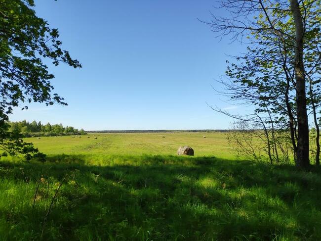 Działka budowlana nad morzem! Karwieńskie Błoto I