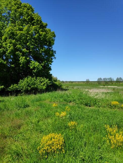 Działka budowlana nad morzem! Karwieńskie Błoto I