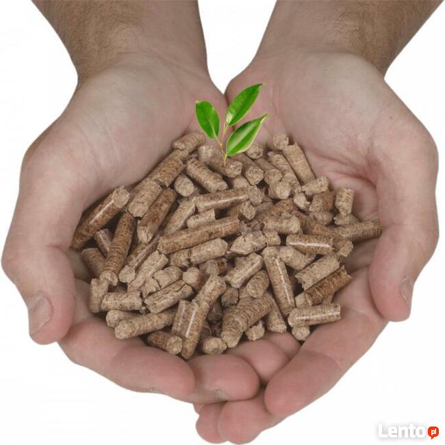 Granulator 11kW 3R + Młyn bijakowy 11kW + kalibrator