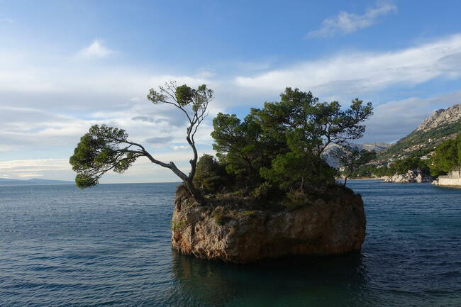 Chorwacja BRELA świetne pokoje w centrum z widokiem na morze