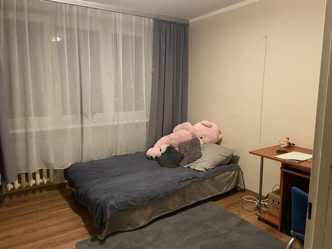 Dwu pokojowe mieszkanie DO WYNAJĘCIA