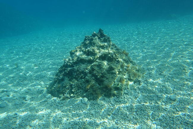 Chorwacja BRELA świetne pokoje w centrum z widokiem na morze
