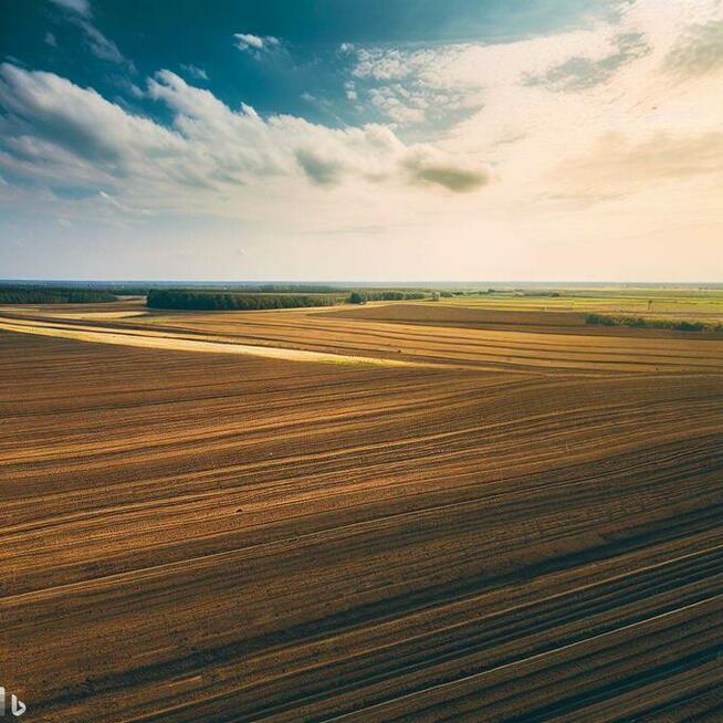 Wydzierżawię