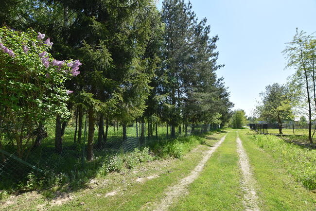 Działka 10,31ar - Rudna Mała