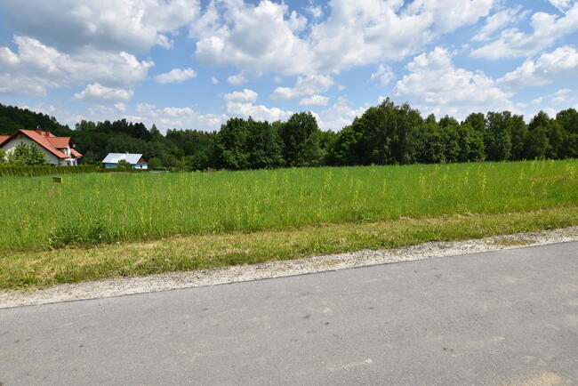 Działka z warunkami zabudowy Borek Stary