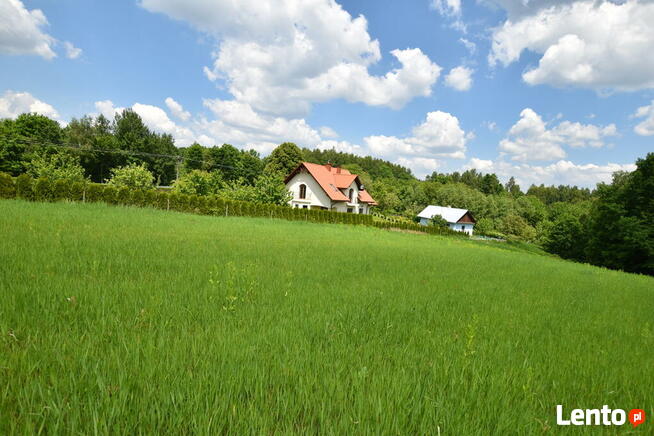 Działka z warunkami zabudowy Borek Stary