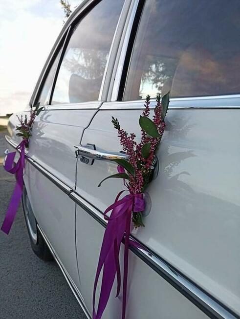 Flora Retro - dekoracje, florystyka, wypożyczalnia