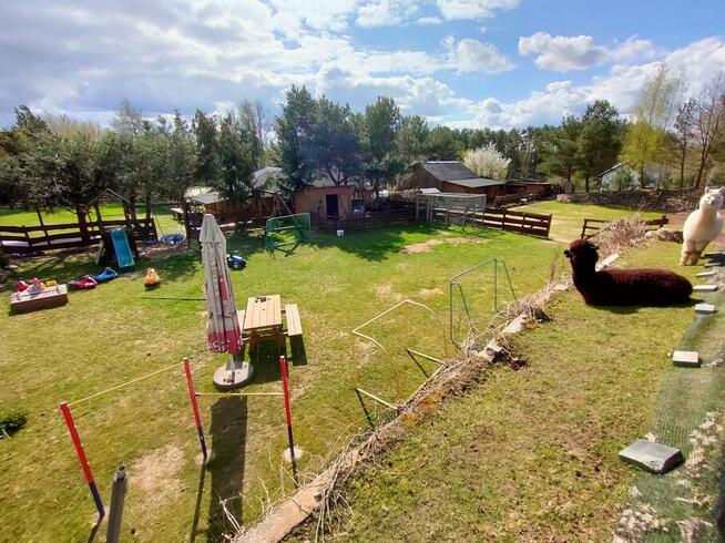 Domki na Slonecznikowej Chmielno