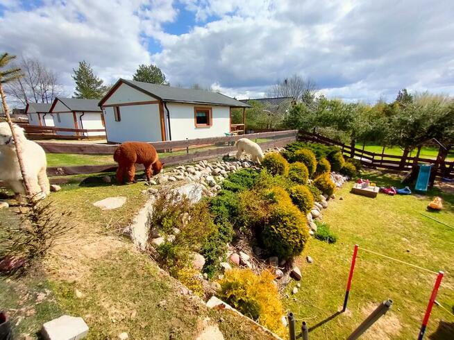 Domki na Slonecznikowej Chmielno