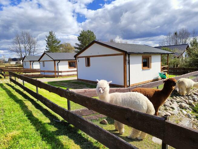 Domki na Slonecznikowej Chmielno