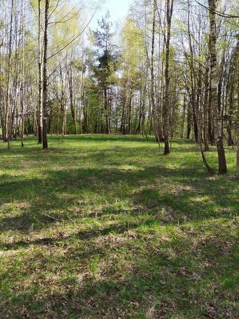 Sprzedam działki na Pojezierzu Suwalskim