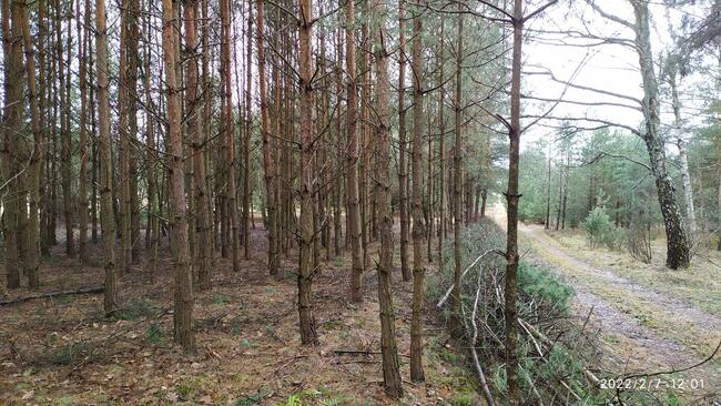 Sprzedam działkę w Parku Krajobrazowym