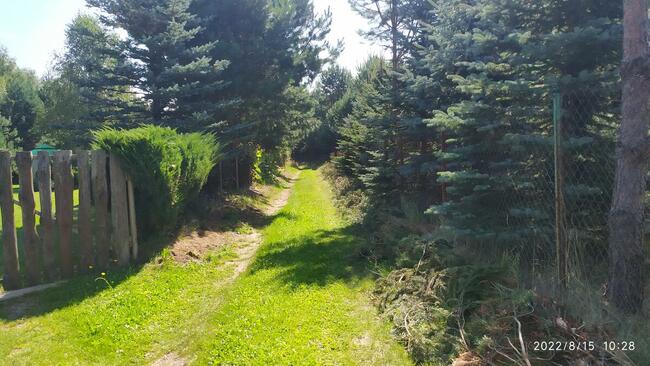 Sprzedam działkę rolną w sąsiedztwie lasów