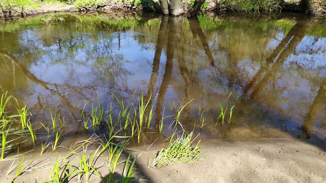 Sprzedam działkę nad rzeką