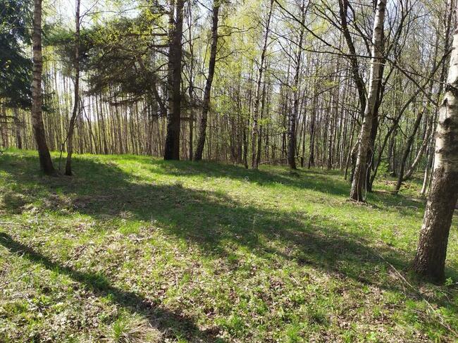 Sprzedam działki na Pojezierzu Suwalskim