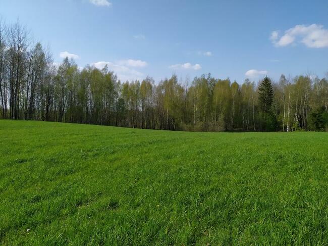 Sprzedam działki na Pojezierzu Suwalskim