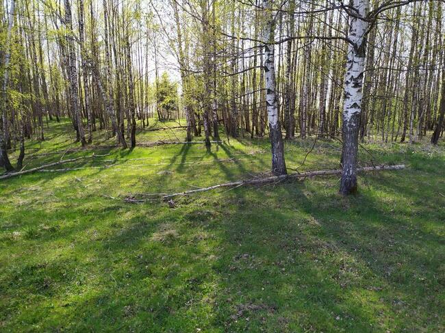 Sprzedam działki na Pojezierzu Suwalskim