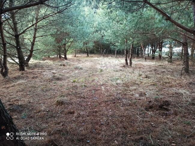 Sprzedam działkę w Parku Krajobrazowym