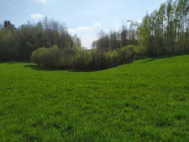 Sprzedam działki na Pojezierzu Suwalskim