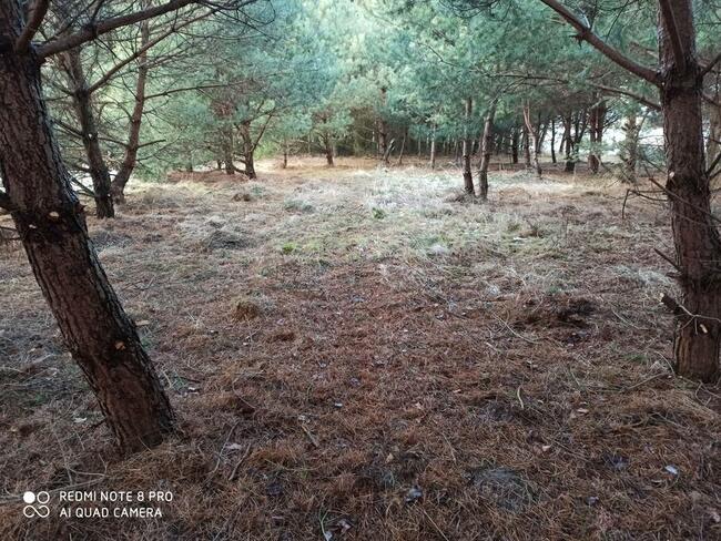 Sprzedam działkę w Parku Krajobrazowym