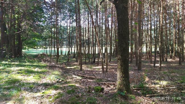 Sprzedam działkę w Parku Krajobrazowym