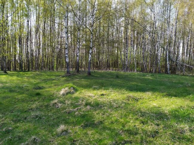 Sprzedam działki na Pojezierzu Suwalskim