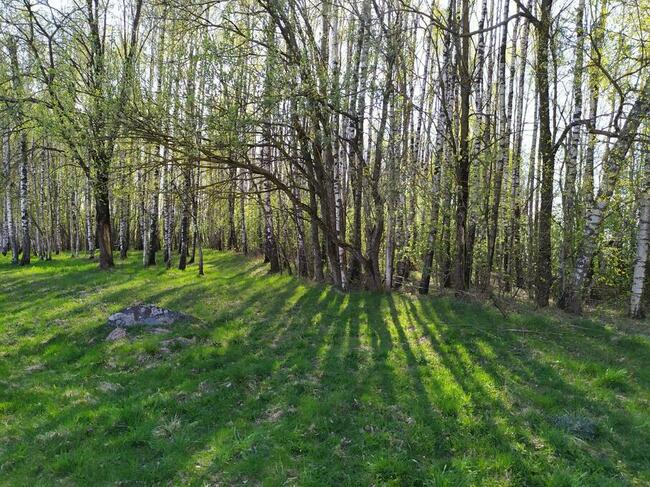 Sprzedam działki na Pojezierzu Suwalskim