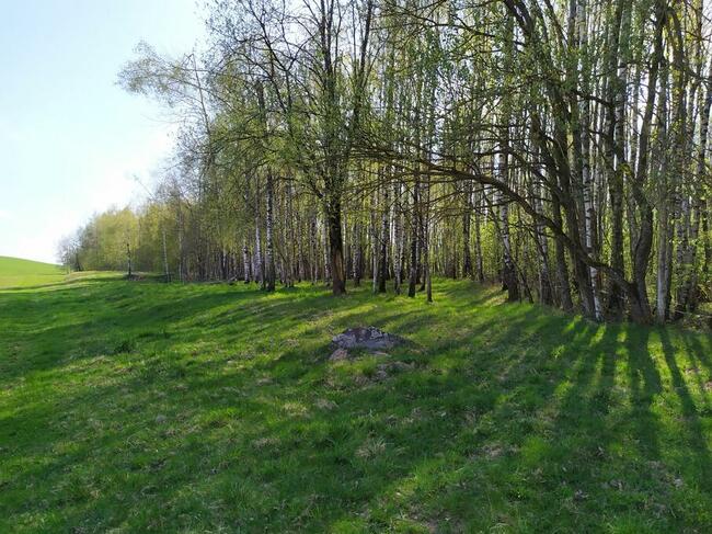 Sprzedam działki na Pojezierzu Suwalskim