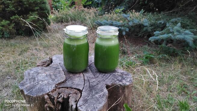 Kuchnia wegańska i witariańska