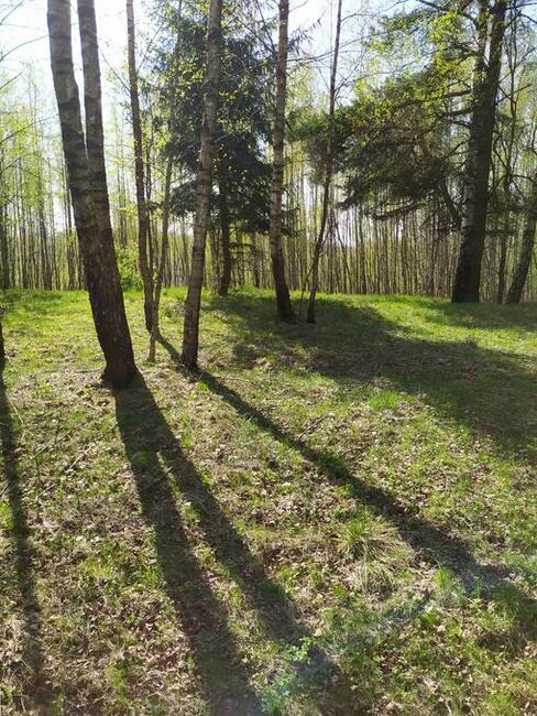 Sprzedam działki na Pojezierzu Suwalskim