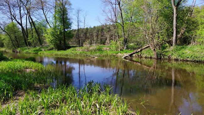 Sprzedam działkę nad rzeką