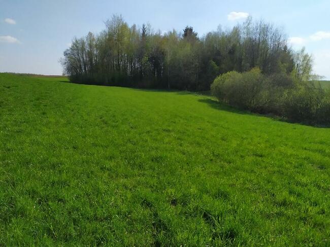 Sprzedam działki na Pojezierzu Suwalskim