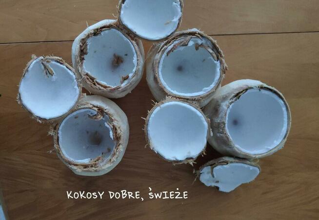 Kuchnia wegańska i witariańska