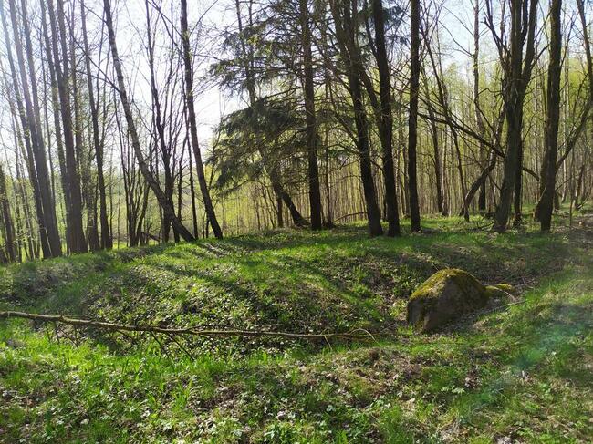 Sprzedam działki na Pojezierzu Suwalskim