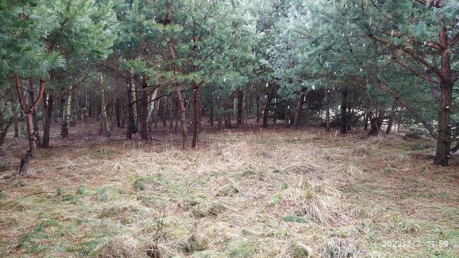 Sprzedam działkę w Parku Krajobrazowym