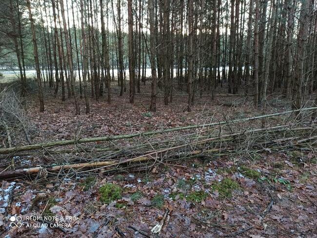 Sprzedam działkę w Parku Krajobrazowym
