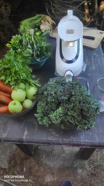 Kuchnia wegańska i witariańska