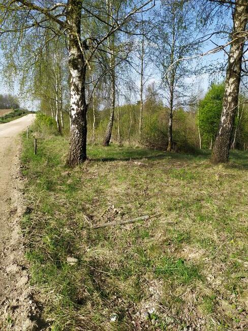 Sprzedam działki na Pojezierzu Suwalskim