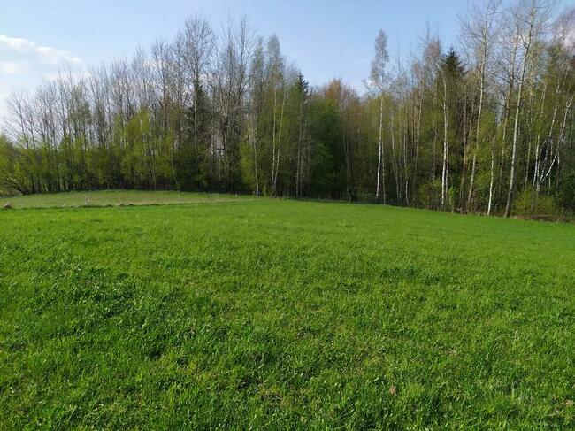 Sprzedam działki na Pojezierzu Suwalskim